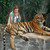 Маргарита Николаева покорительница тигров