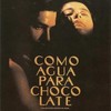 Вечер мексиканского кино: х/ф «Как вода для шоколада»
