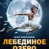 TheatreHD: Мэтью Борн: Лебединое озеро 