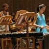 Ансамбль ударных инструментов «Percussion +» 