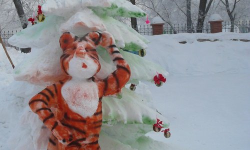 В Кировском районе выбрали лучшие новогодние ёлки