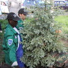 Студенческий интернациональный отряд посадил «Дерево дружбы» на аллее медуниверситета