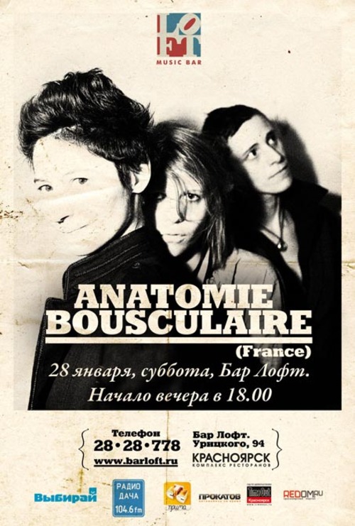 Anatomie Bousculaire